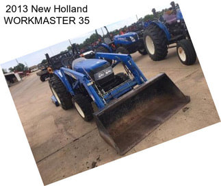 2013 New Holland WORKMASTER 35