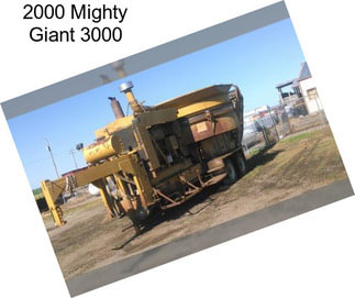 2000 Mighty Giant 3000