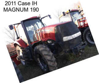 2011 Case IH MAGNUM 190