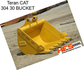 Teran CAT 304 30\