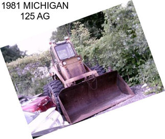 1981 MICHIGAN 125 AG