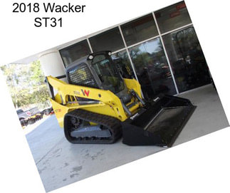 2018 Wacker ST31