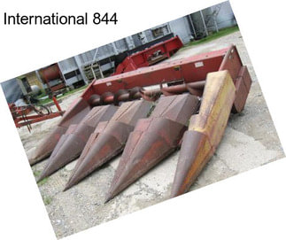 International 844