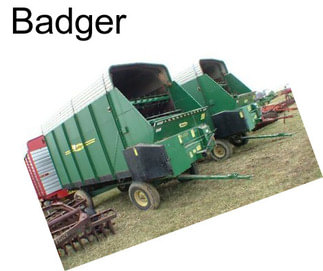 Badger