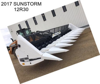 2017 SUNSTORM 12R30