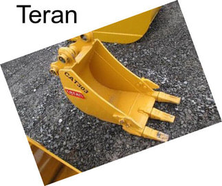 Teran