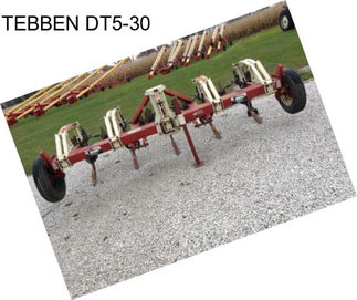 TEBBEN DT5-30