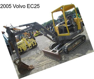 2005 Volvo EC25