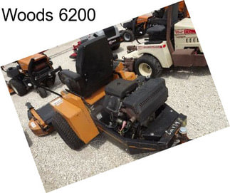 Woods 6200