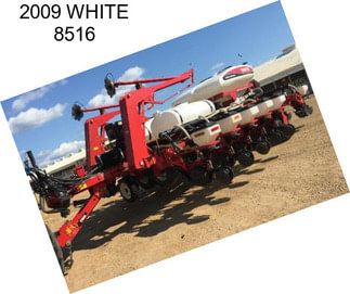 2009 WHITE 8516