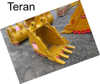 Teran