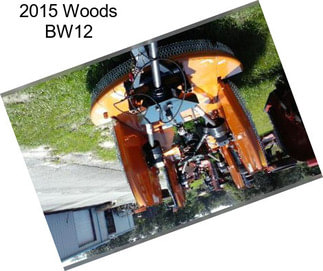 2015 Woods BW12