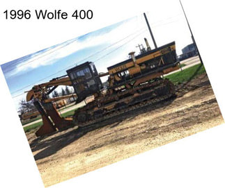 1996 Wolfe 400