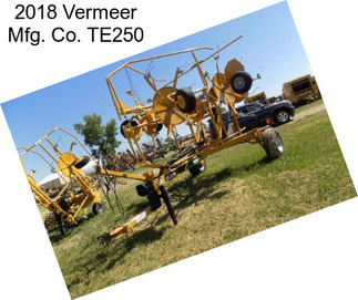 2018 Vermeer Mfg. Co. TE250