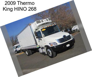 2009 Thermo King HINO 268