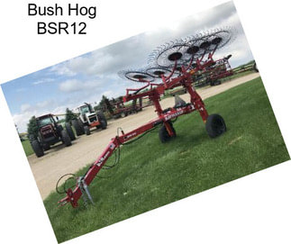 Bush Hog BSR12