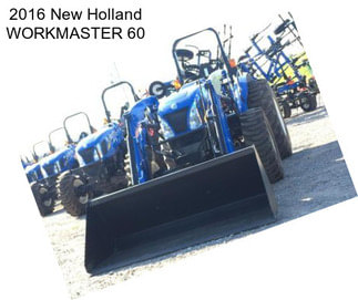 2016 New Holland WORKMASTER 60