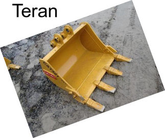 Teran