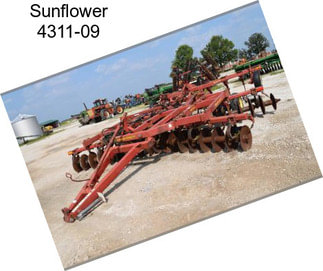 Sunflower 4311-09