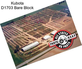 Kubota D1703 Bare Block