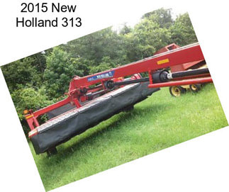 2015 New Holland 313