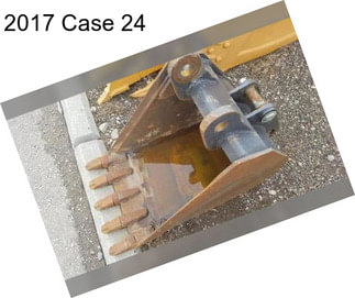 2017 Case 24