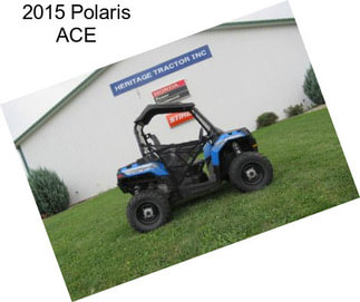 2015 Polaris ACE