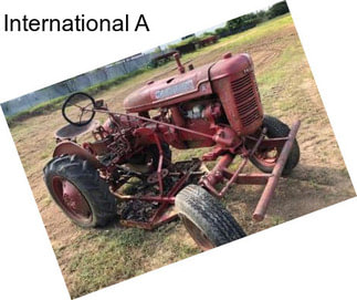 International A