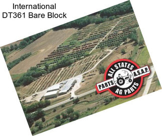 International DT361 Bare Block