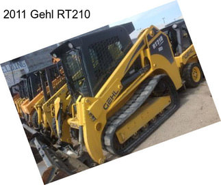 2011 Gehl RT210