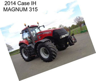 2014 Case IH MAGNUM 315