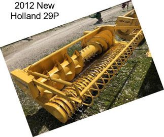 2012 New Holland 29P