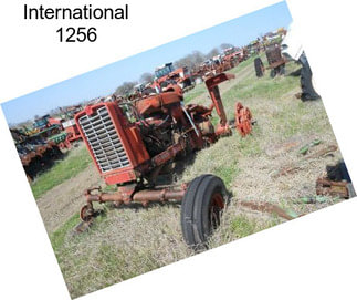 International 1256