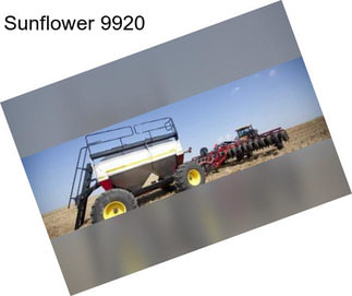 Sunflower 9920