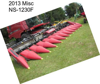 2013 Misc NS-1230F