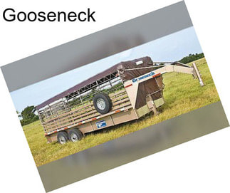 Gooseneck