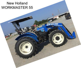 New Holland WORKMASTER 55