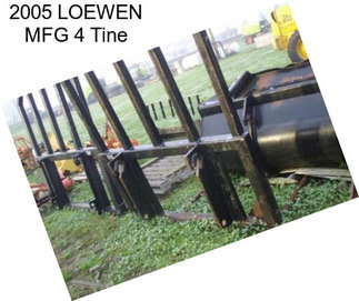 2005 LOEWEN MFG 4 Tine