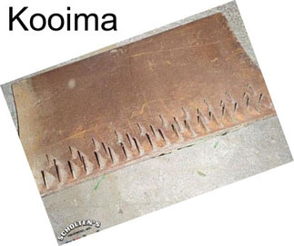 Kooima