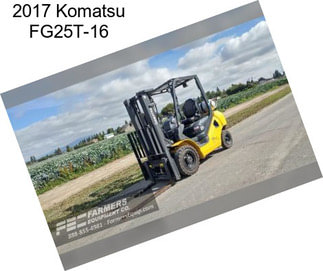 2017 Komatsu FG25T-16