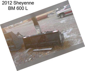 2012 Sheyenne BM 600 L