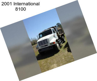 2001 International 8100