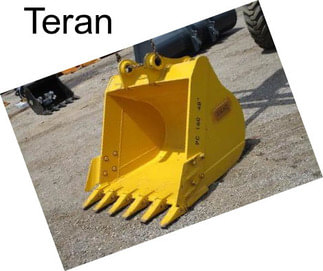 Teran