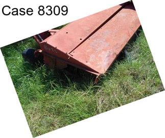 Case 8309