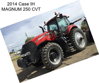 2014 Case IH MAGNUM 250 CVT