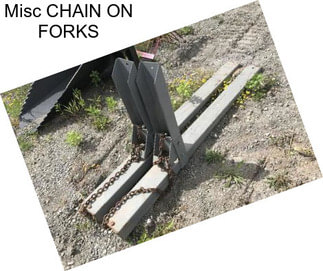 Misc CHAIN ON FORKS