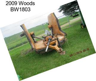 2009 Woods BW1803