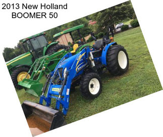 2013 New Holland BOOMER 50