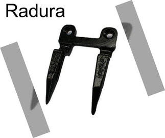 Radura