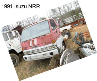 1991 Isuzu NRR